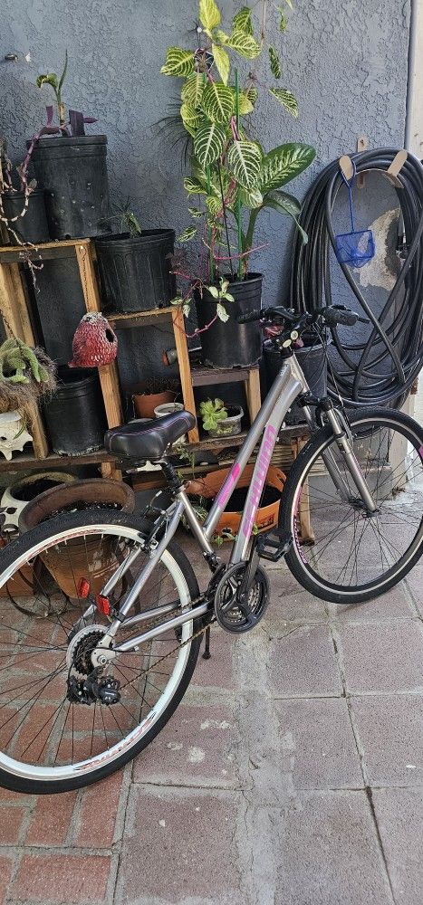 Women's Schwinn Bike