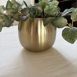 Fake Plant And Holder