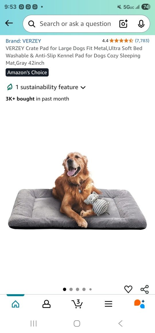 Dog Bed In Box New