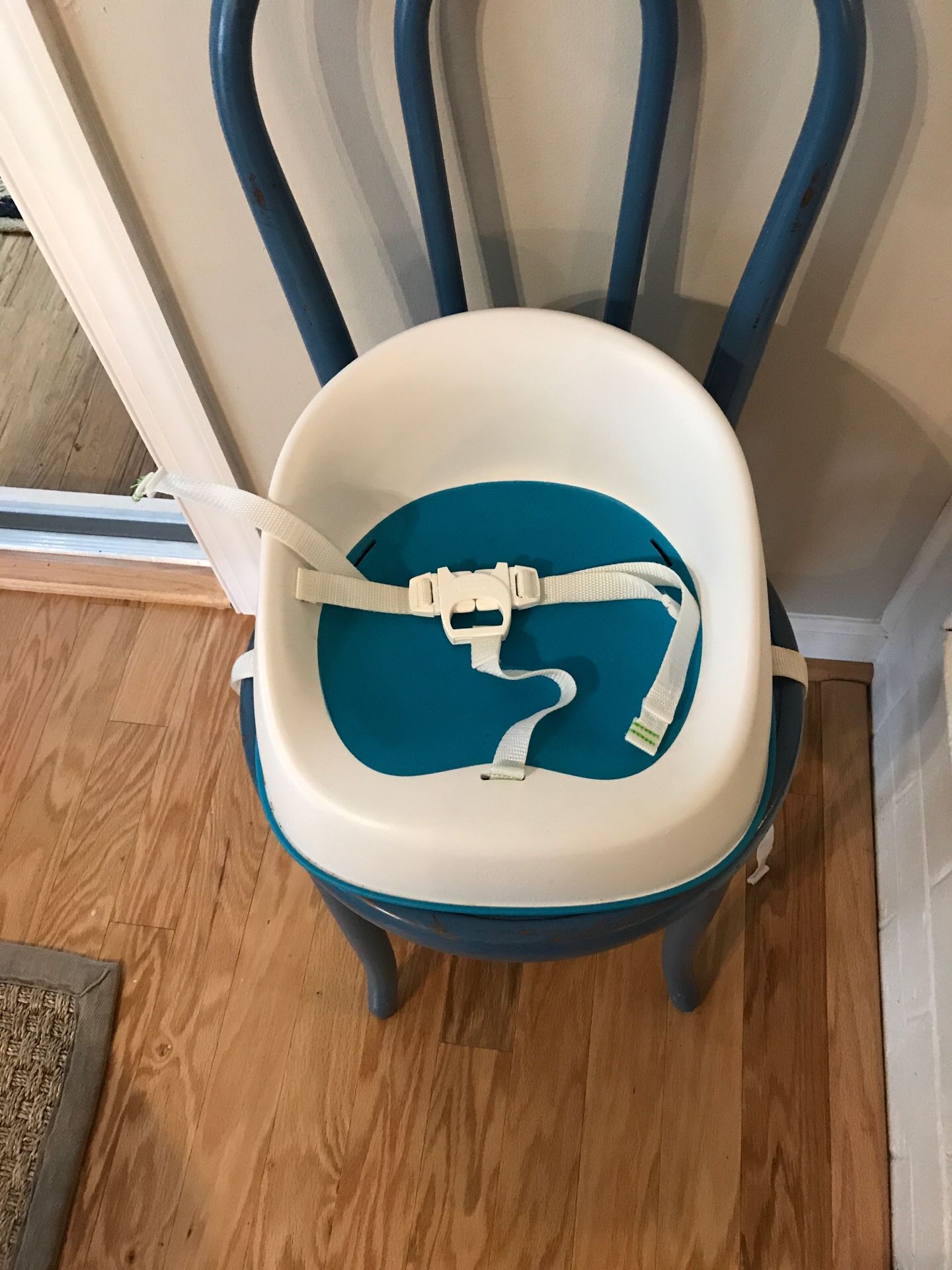 Prince Lionheart Booster Seat