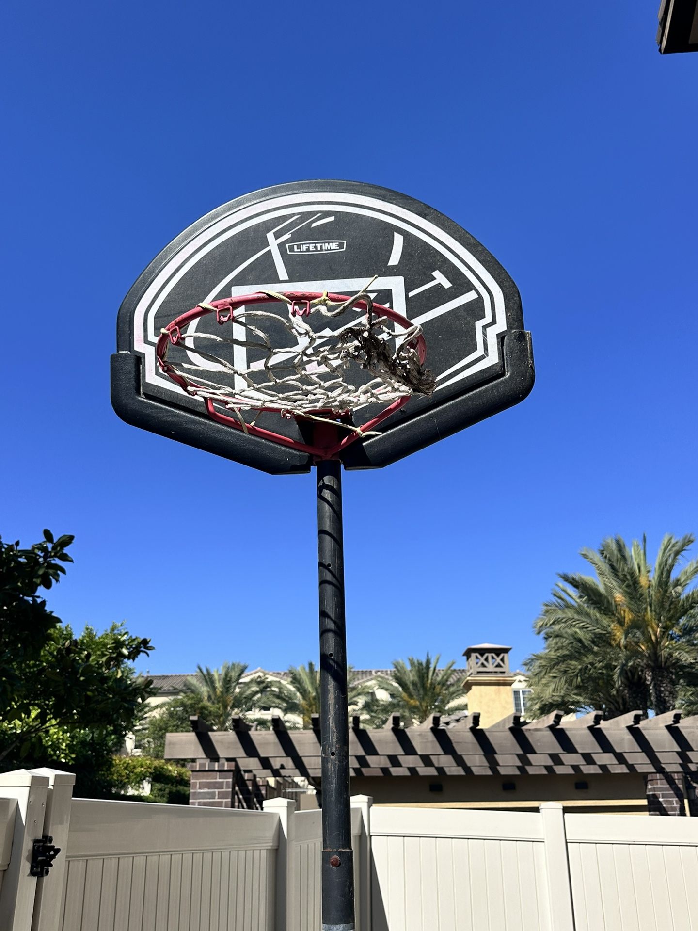 FREE BASKETBALL HOOP