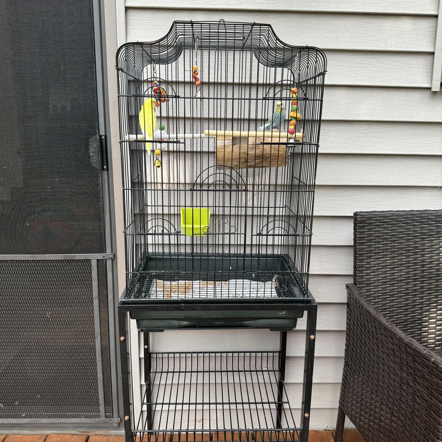 Parakeets + Cage 