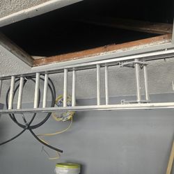 16' Ladder 