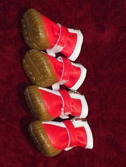 DOG SHOES PUPPY SHOES 🐶🐾