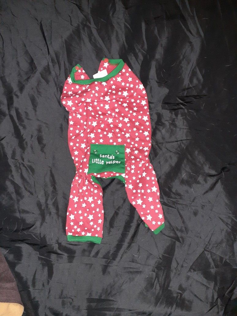 Dog Outfit