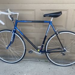 Schwinn road bike