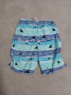 Boys Size 14/16 Swimsuit