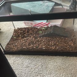 10 gallon fish tank with rock! 