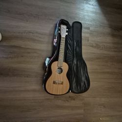 Never Used eukelalie And Bag