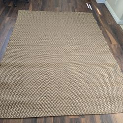 Indoor Outdoor Area Rug