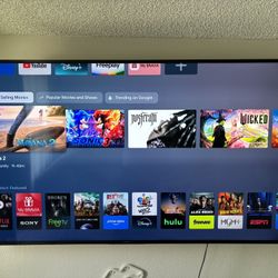 Smart TV Sony Flat 75” Model : XBR-75X81CH