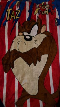 Vintage Rare 1996 Novatex Looney Tunes Taz Plush Beach Blanket