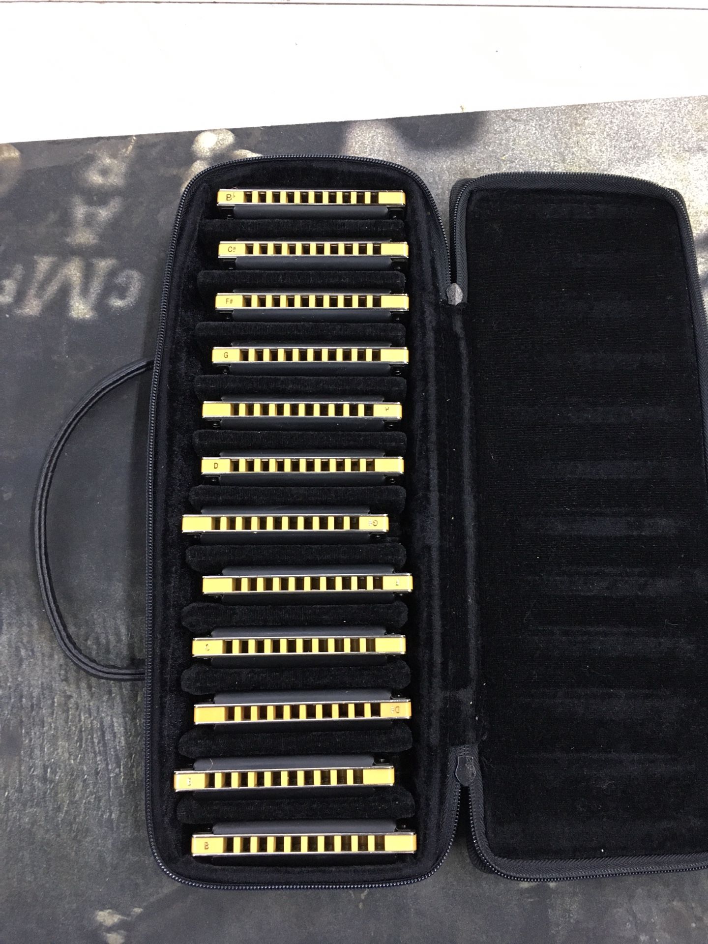 Easttop Harmonica Set