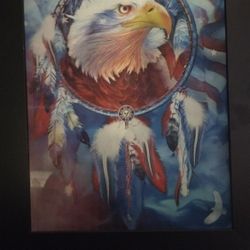 3D Professional Framed, native Wolf, Hawk Ect.