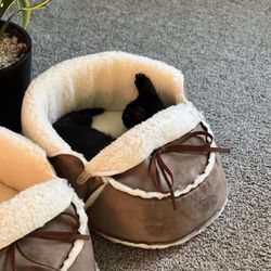 Cat Moccasin Beds (set Of 2)