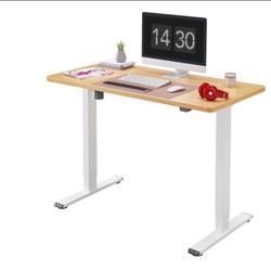 Electric Standing Desk 48”*30”