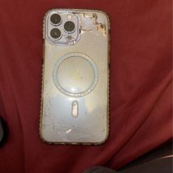 iPhone 13 Pro Max 
