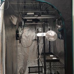 Grow Tent Setup