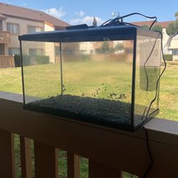 10 Gallon Tank With LED Lights