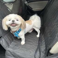 Pet Car Liner