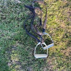 Black Oak Stirrup Leathers(44) And 4.25” Stirrup Irons 