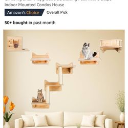 Cat Shelves