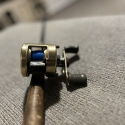 Shimano Calcutta 250.