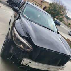 Wraps And PPF