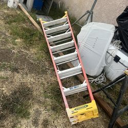 Werner 8 Foot Ladder