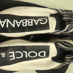 Dolce And Gabbana Sorrento 