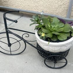 Succulent Planters