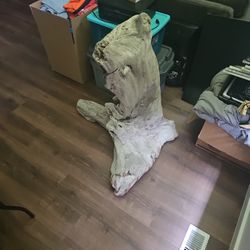 Free Large Piece Of Dried Drift Wood 