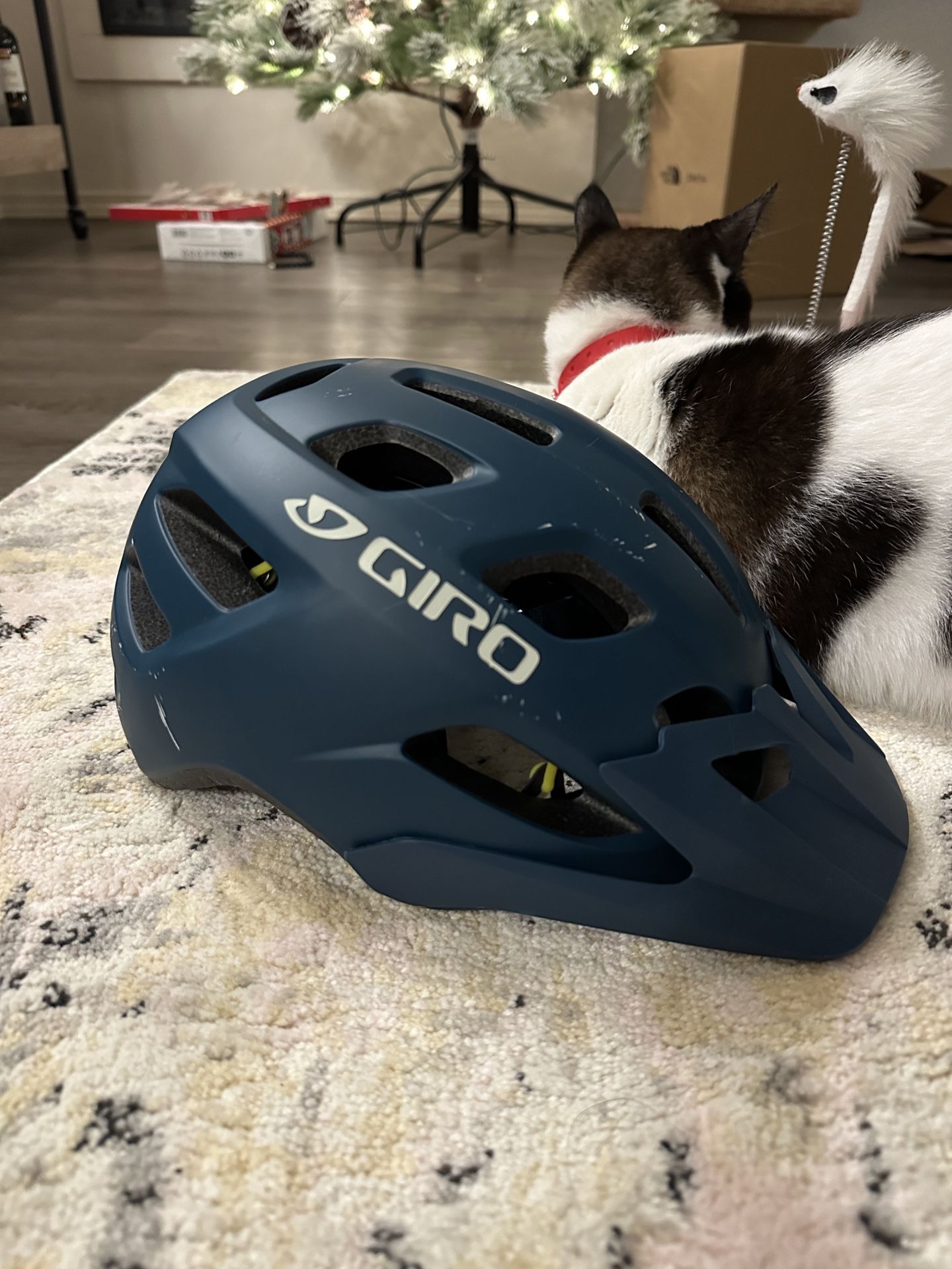 Giro Fixture MIPS Bike Helmet Size Medium
