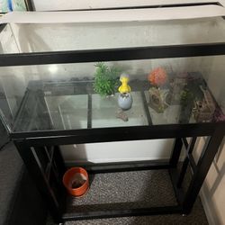 Big Fish Tank 5 Gallon