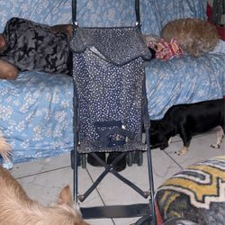 Great condition Umbrella Stroller 