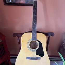 Silvertome Pro Series Acoustic Guitar