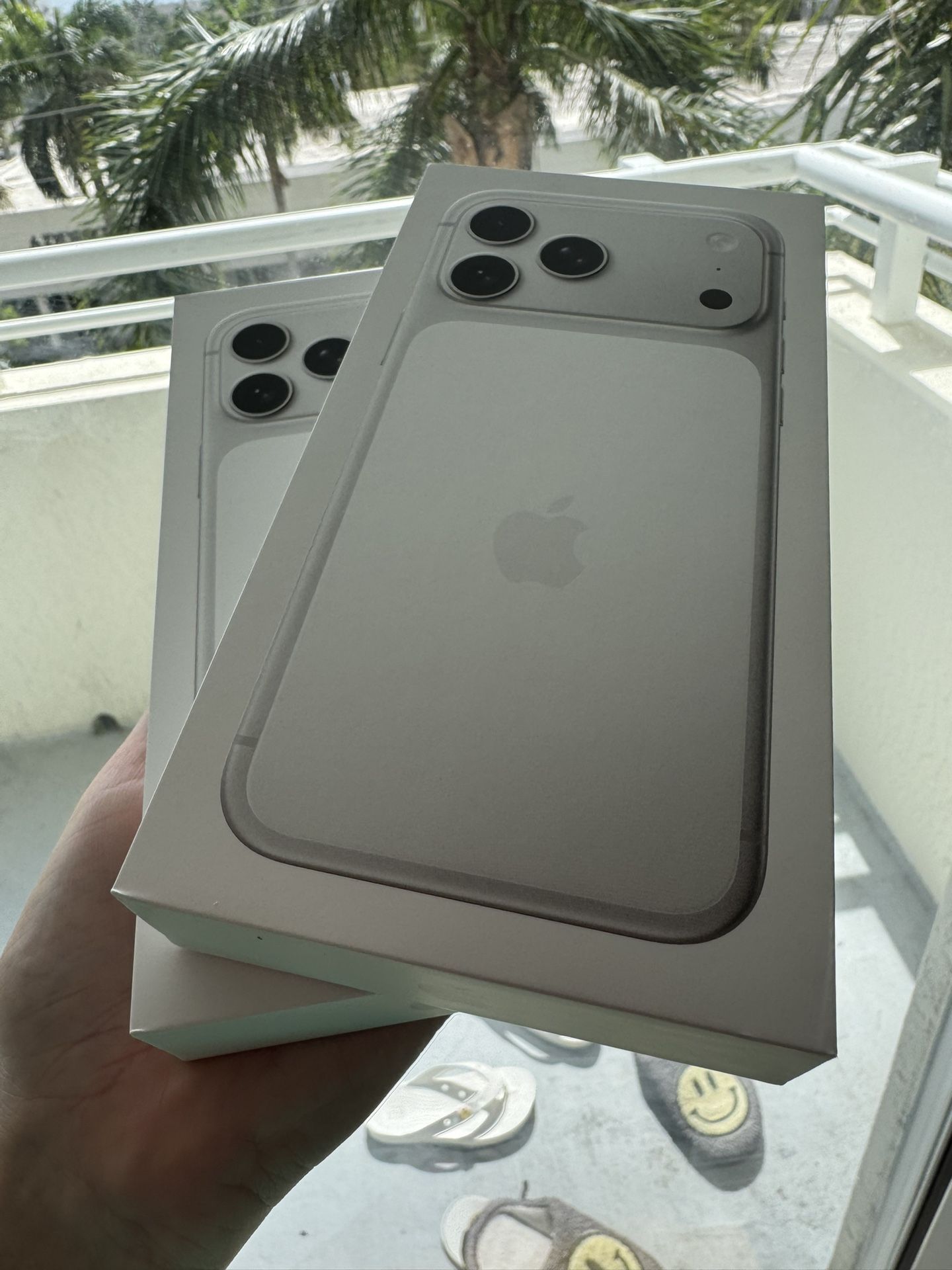 iPhone Pro Max 256 Silver