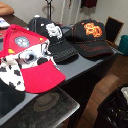 3 Kids Hats