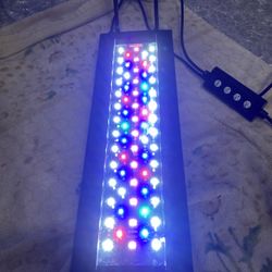 Aquarium Light