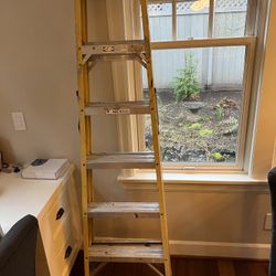 6ft Ladder