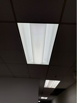 Lights
