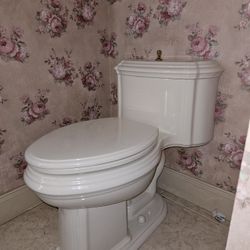 Portrait Series Toilet