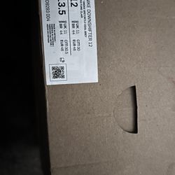 Nike Running Shoe