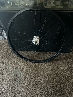 Front rim 29er