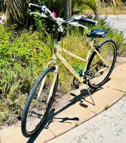 Bianchi Cortina Hybrid Road Bike