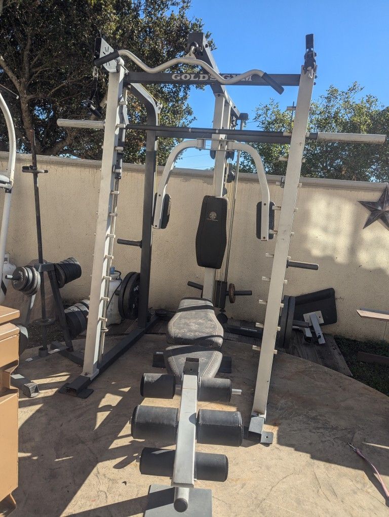 Gold Gym Weight Lifting Set With Weights