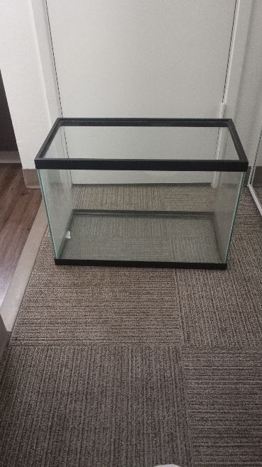 $30 obo FISH TANK