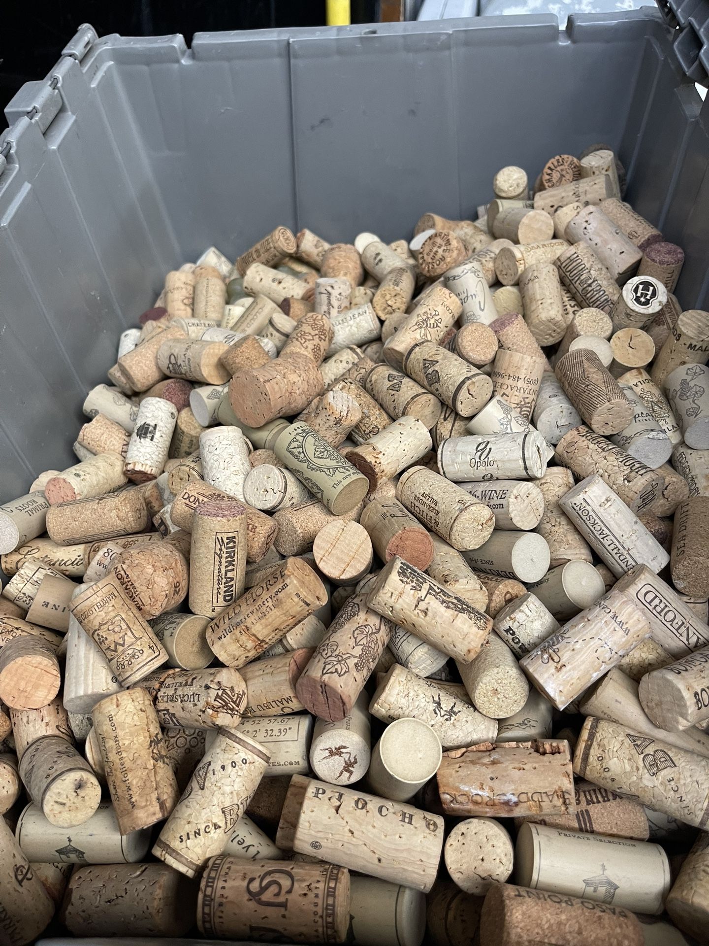 Wine Corks