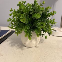 Fake Potted Plant