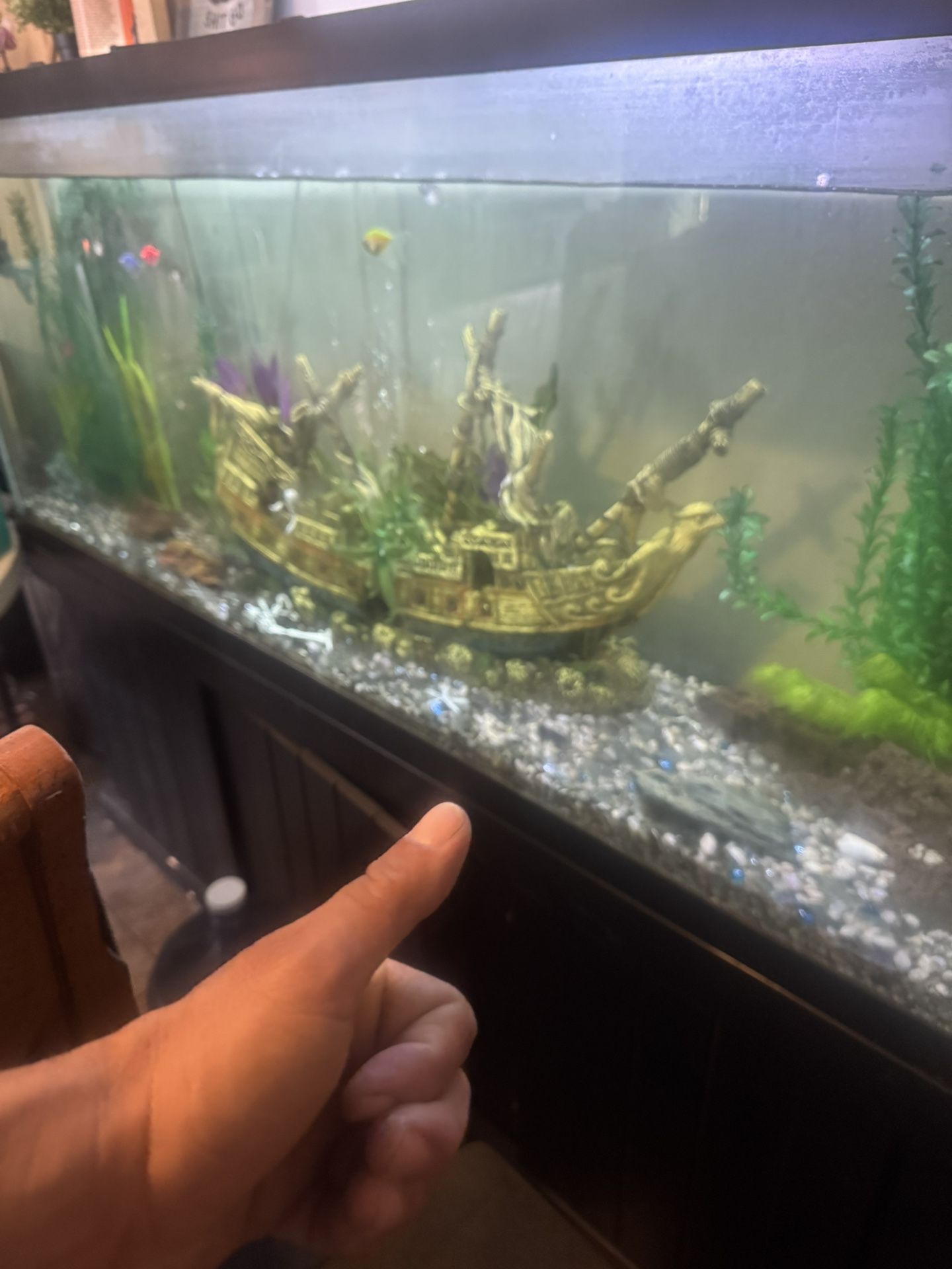 Fish Tank & Stand